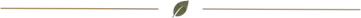 divider-leaf-2